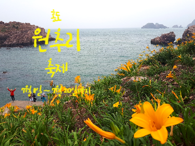 25년 원추리축제-001.png
